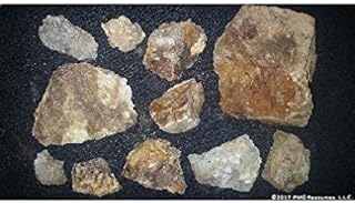 1 LB Genuine Colorado Gold Ore