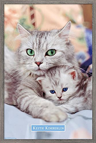Trends International Keith Kimberlin - Momma and Kitten Wall Poster, 34L x 22.4W, Barnwood Framed Version