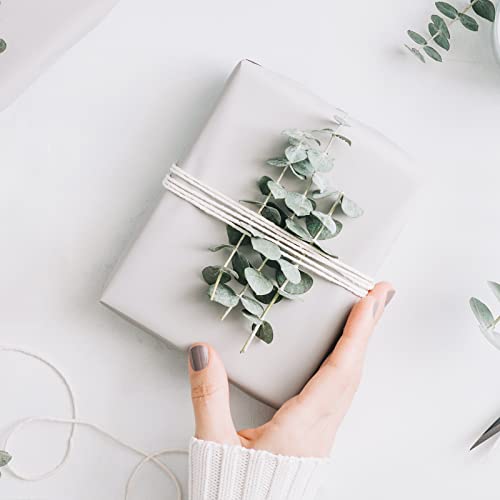 Packanewly Cotton Jute Twine String For Craft - 984 Feet Cotton Twine Rope For Gift Wrap, Art Packing, Garden Decoration (Gold, Silver, Kraft Brown, Total 3 Roll) #TOP4