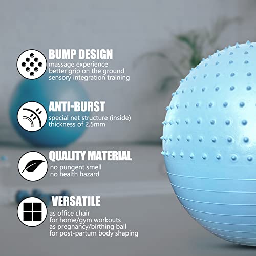 Ismosm Exercise Ball Yoga Ball Anti-Burst Extra-Thick Pilates Ball Swiss Ball For Pregnancy, Birthing, Fitness, Office, Home Gym Workouts (Color Blue - 65Cm) #TOP2