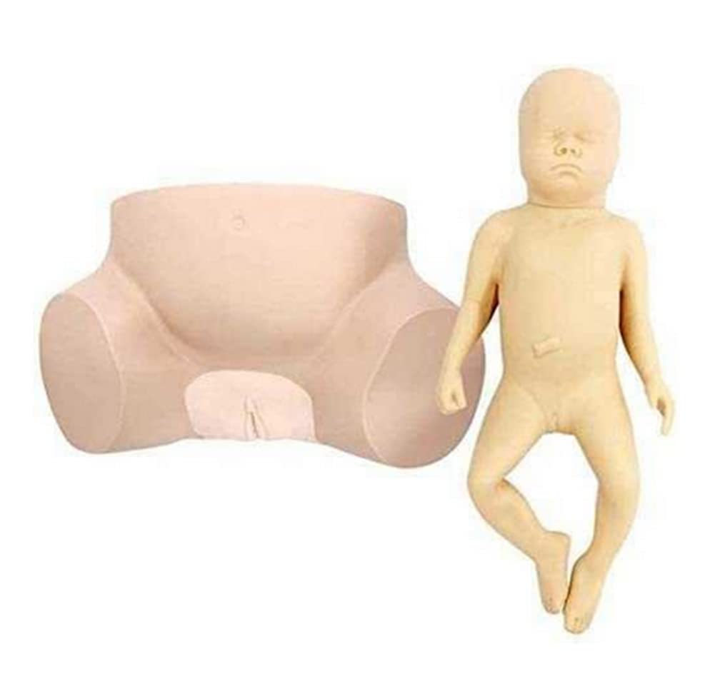 Anatomy Childbirth Simulator Manikin, Advanced Midwifery Training Model, Medical Student Simulation Training Model for Medical Nursing Teaching Study