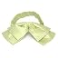 Apple Green Kimberly Chevron Stripe