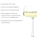 Stölzle Lausitz Champagnerschalen Power 6er-Set 275 ml – Elegante Kristallgläser ideal für Champagner, Sekt & Prosecco – Hochwertige Sektgläser aus deutscher Herstellung – Spülmaschinen- & Stoßfest