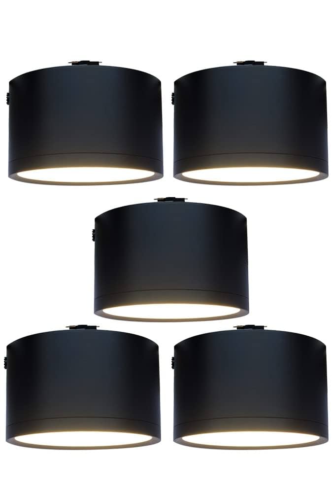 Echo dot&Alexa対応シーリングライト Echo dot&Alexa対応シーリングライト Echo dot&Alexa対応