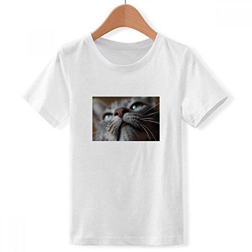 T-shirt chat animal photographie blanc en taille X-Grand garcon