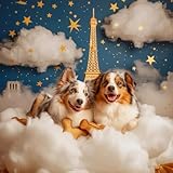 Rêves Animaliers