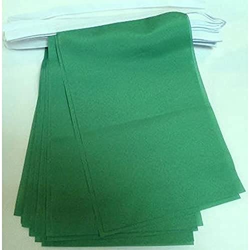 AZ FLAG, Plain Green Bunting Flag, 40 Ft Garland with 20 Green Solid color Flags 18'' x 12'', 100% Polyester String Pennant