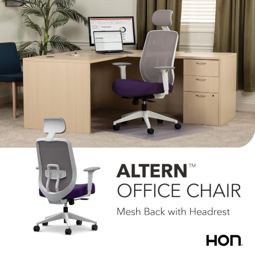 Image of HON Altern Ergonomic Office Chair, Office Desk Computer Chair, Iris