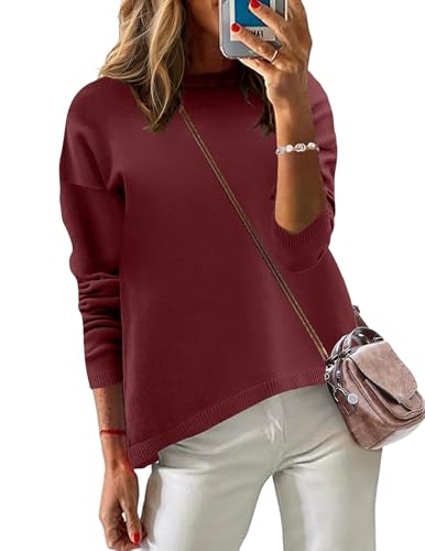Zeagoo Women’s Knit Pullover Sweater