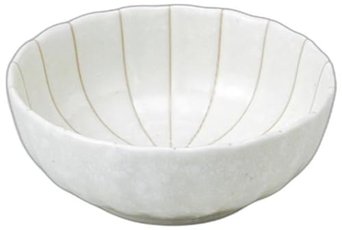 \e^5.5 [ 16.7 x 16.7 x 6.1cm ] |  Zgmz|(Setomonohonpo)