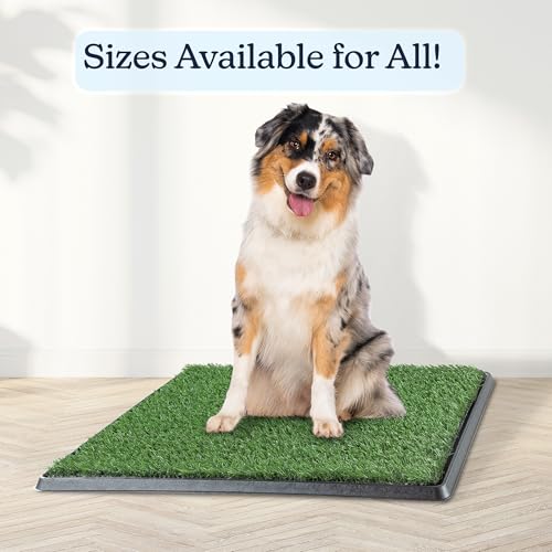 Image of Artificial Grass Puppy Pee Pad for Dogs and Small Pets - 20x25 Reusable 4-Layer Training Potty Pad with Tray - Dog House and Pet Supplies by PETMAKER