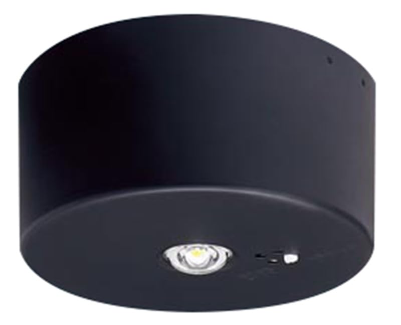 Amazon | パナソニック(Panasonic) 天井直付型 LED 昼白色 非常用照明