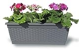 Resistente Hobby & Style 10351.0 balconiera con decoro Rattan, Antracita, 50 x 28 x 18 cm