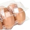DAJAVE 100 Pack Plastic Egg Cartons Bulk, 2x3 Egg Holders Style Holds up for 6 Eggs, Half Dozen Egg Carton for Family, Pasture, Farm Markets Display(Medium)