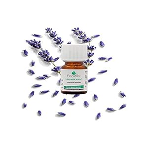 FLORABIOL | Huile Essentielle de Lavande Aspic Bio | Calmante, Apaisante, Réparatrice, Soulage les Piqûres | 100% Pure et Naturelle | Fabrication Française | 10ml