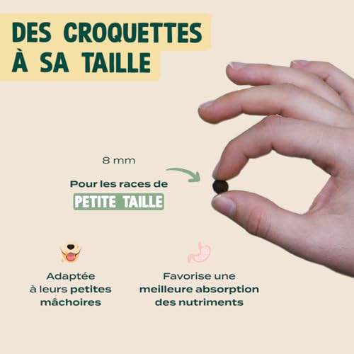 FRANKLIN – Croquettes Petit Chien – 70% Canard – sans Céréales – 2,5 kg – vue 5