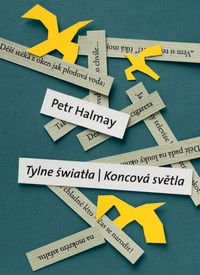 Paperback Tylne swiatla (polish) [Polish] Book