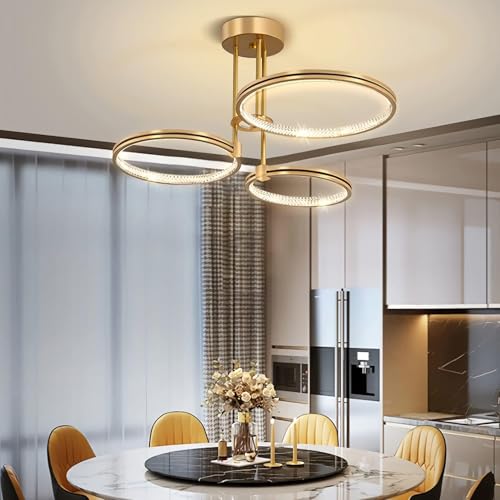 Lustre plafonnier LED moderne ajustable avec éclairage télécommandé
