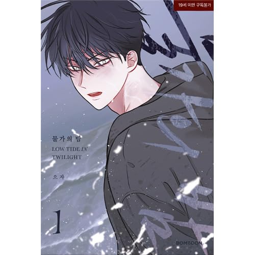 韓国マンガ 水辺の夜 1 / euja [並行輸入品] |本 | 通販 | Amazon