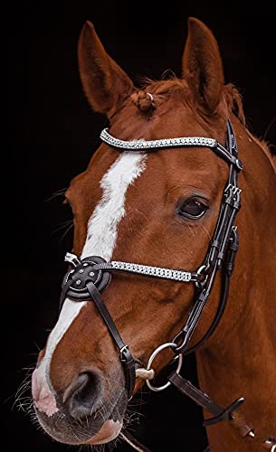 Foto von Deister Mexikanisch Super Glitzer/Strass Leder Braun Reithalfter Pony VB WB X Full Springen Zaum Dunkelbraun Tysons (Warmblut)