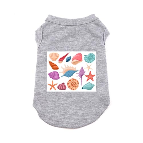 CNJKS TVc  hbOEFA O[ ^hbOEGA  ybg p ybgp   ^ t  H  킢 IV  Vv ⊴ TVc m[X[u 2XL