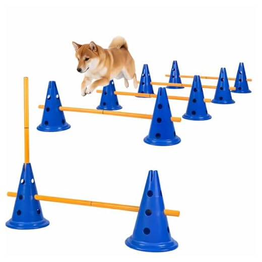 Zazafolora Hund Agility Set für Training