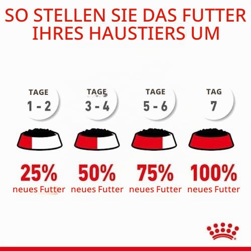 Hair & Skin Care | Nassfutter für Erwachsene Katzen | 2 x 12 x 85 g
