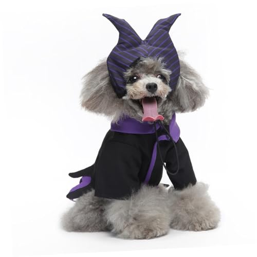 Disfraz de Bruja Halloween para Perro Tamaño L miniatura 3
