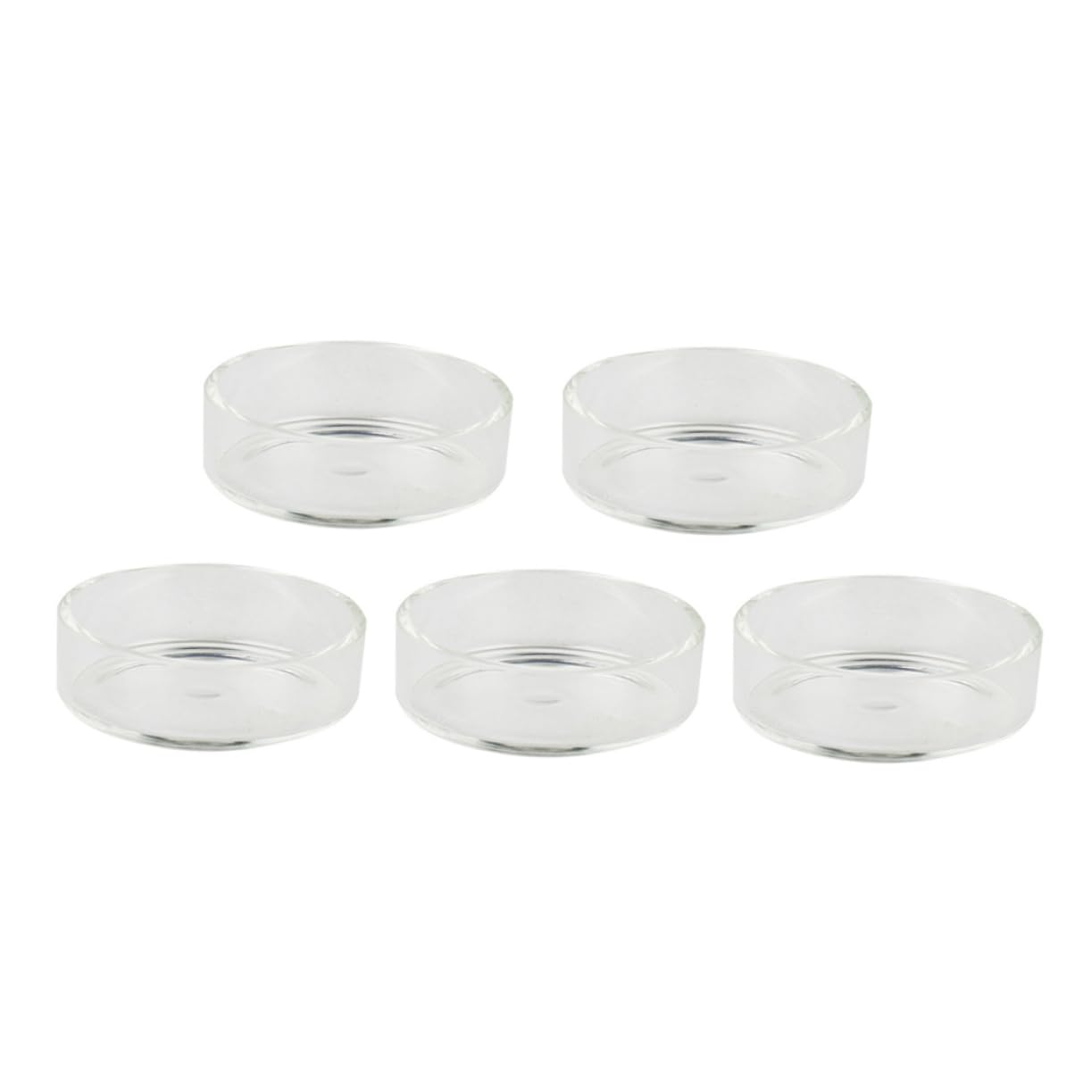 Didiseaon 2 Juegos de Cuencos Redondos de Vidrio para Camarones Comederos para Camarones Suministros para Acuario Adornos de Cristal para Tanque de Camarones 5 Piezas