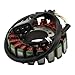 Replace 5PW-81410-00-00 YINNCKE Magneto Ignition Stator Fits for Yamaha YZF R1 2002 2003 5PW-81410-01-00
