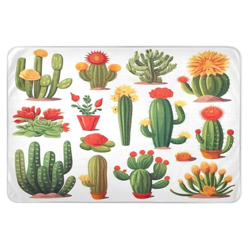 CEBUGI 34” x 52”Washable Underpads Heavy Absorbency Waterproof Incontinence Bed Pads Cactus Set Pee Pads for Adults Kids and Baby