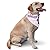 I Wear Purple For Pancreatic Cancer Awareness Dog Bandanas Triangle Bibs Pet Scarf For Small Medium Large Dogs And Cat
