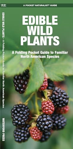 Globe Pequot Press Vernis comestible plantes sauvages – James Kavanagh