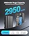 Powerextra Pro LP-E6NH Battery 2950mAh and Dual USB Charger for EOS R,R5,R6,R6 Mark II,R7,90D,80D,70D,60D,5D II,5D III,5D IV,5Ds,6D,6D II,7D,7D Mark II Cameras