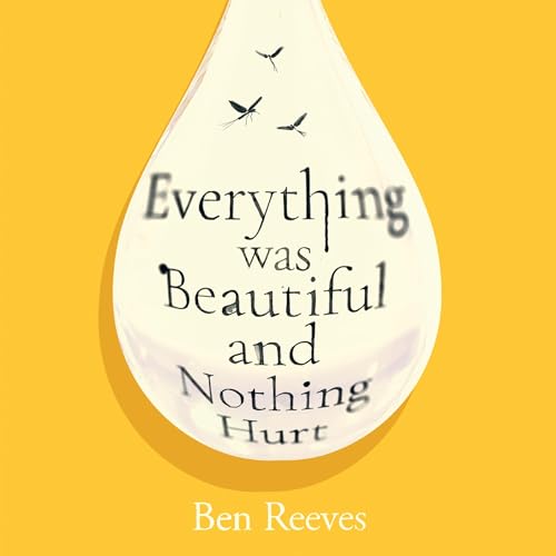 Everything Was Beautiful and Nothing Hurt cover art
