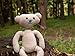 MONSTOY Bear Alpha Plush Handmade Horror Plush Toy 11 inches