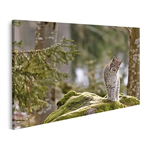 Tableau sur toile Lynx européen grand format cadre affiche poster murale
