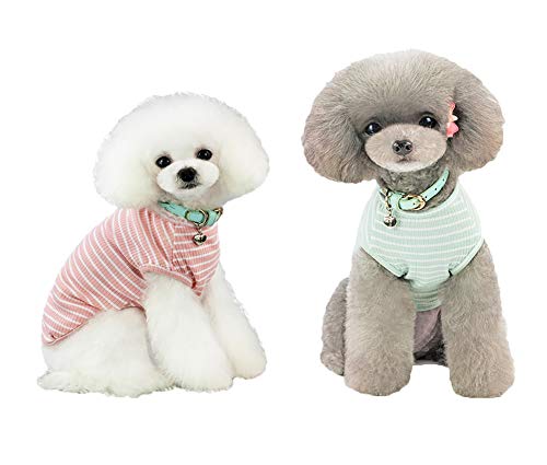 YULOONG L[g bVǍATVcAX|[cEFAAOoAtĕAĂhAEѕی