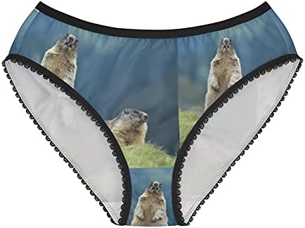 Two Marmots Panties, Two Marmots Underwear, Briefs, Cotton Briefs, Funny Underwear, Panties For Women