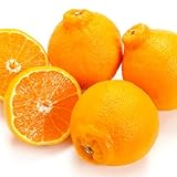 みかん デコポン しら�