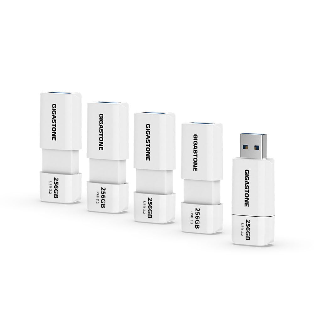 Gigastone Z60 Memoria USB 3.2 Gen1 256 GB, Unidad Flash, Paquete de 5, R/W 120/60 MB/s de Ultra Alta Velocidad, Unidad de Pulgar de diseño retráctil sin Tapa, con Interfaz USB 2.0/USB 3.0/USB 3.1