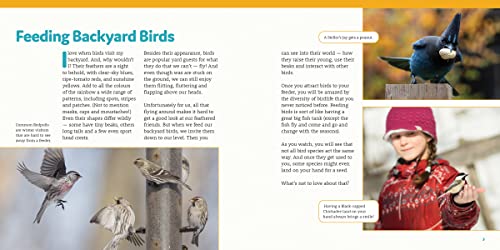 How to Feed Backyard Birds: A Step-by-Step Guide for Kids