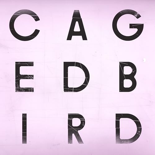 The Cinematic Orchestra feat. Roots Manuva