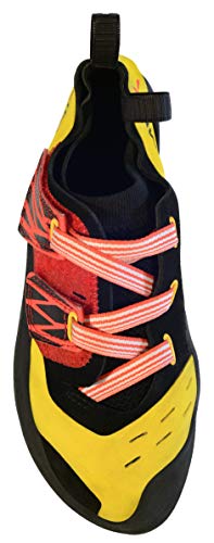 Climb X Apex Climbing Shoe (2019)2