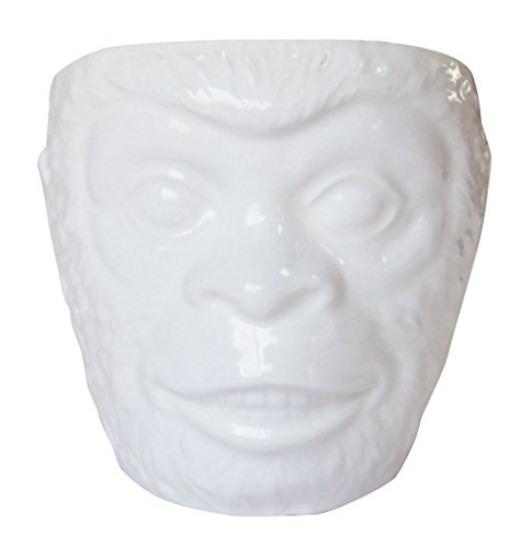 ????? Sunart SAN2498 Funny Tableware, Brain, Monkey Don, 17.6 oz (500 g), White
