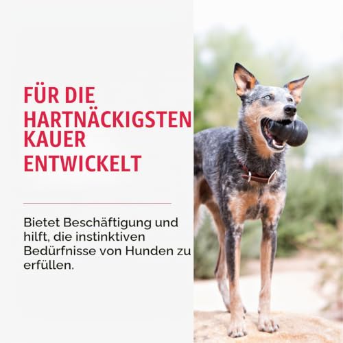 KONG Extreme Hundespielzeug, Für XL Hunde