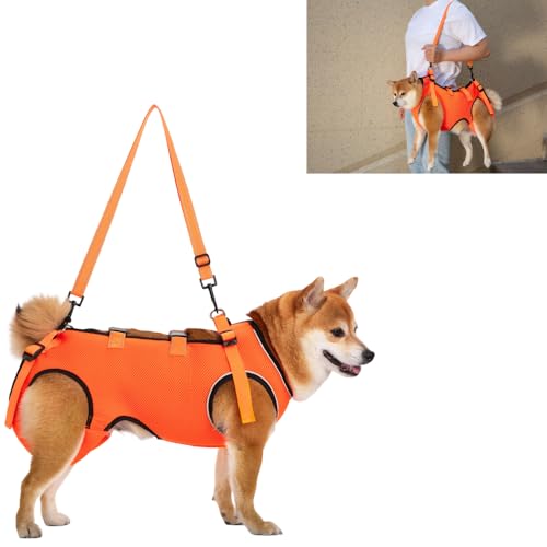 ACUOPNK pn[lXCʋC  pn[lX s⏕ V  pi EȒP V//p//aC ^ ^   r Q nr U  ̑Oƌ둫̕⏕ o֗ (IWF,XLȉd4