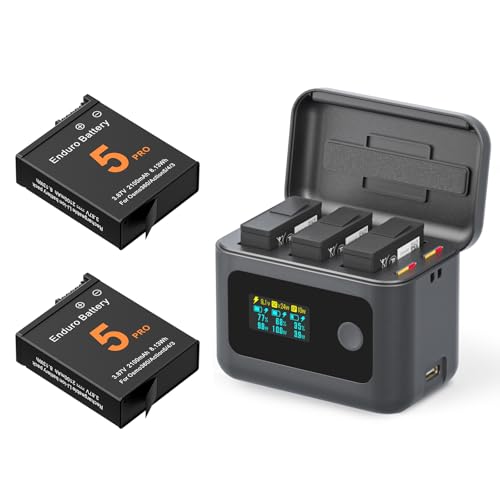 Batería Osmo 360 Treeboy con cargador rápido de 24W para cámaras de acción