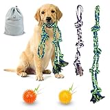Waldseemüller Juego de 4 Juguetes para Perros, Pelota Perro, Juguete Perro Indestructible, Juguetes para Perros Grandes con una Bolsa de Regalo