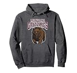 University of Montana Grizzlies Distressed Primary Pullover Hoodie